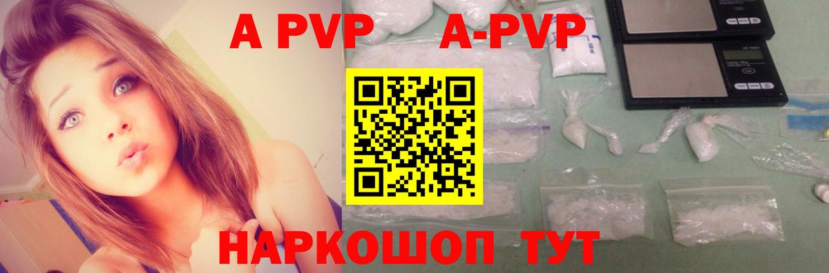 A-PVP СК КРИС Бердск