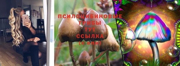 a pvp Алзамай