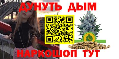 стаф Владивосток