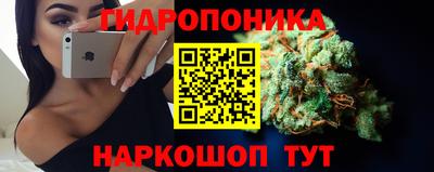 стаф Владивосток