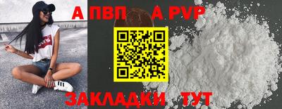 спиды Владимир
