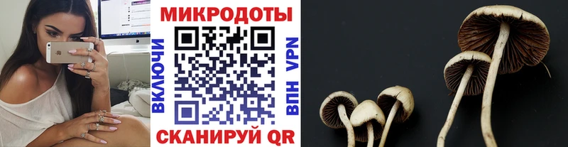 Псилоцибиновые грибы прущие грибы  Бердск 