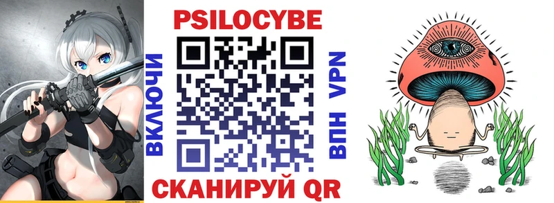 Псилоцибиновые грибы Psilocybe Бердск