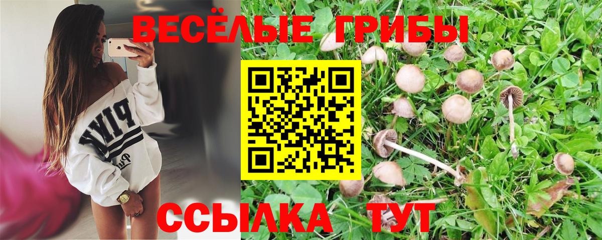 Псилоцибиновые грибы прущие грибы Бердск