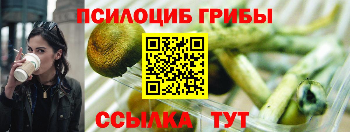 Псилоцибиновые грибы ЛСД  Галлюциногенные грибы мухоморы  наркота  Бердск  Вход с VPN 